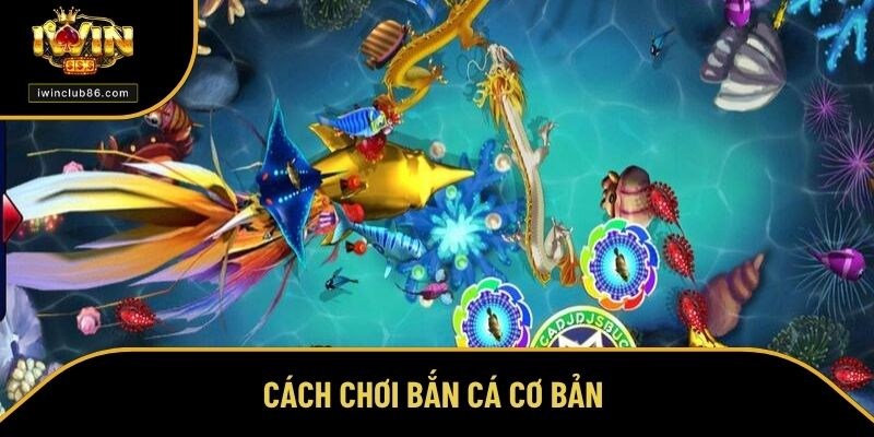 Cách Chơi Bắn Cá Ăn Tiền Dễ Như Chơi, Bắn Đâu Trúng Đó Cách chơi bắn cá cơ bản