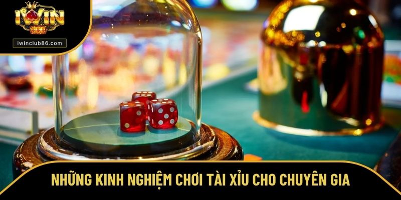 Kinh Nghiệm Chơi Tài Xỉu - Tổng Hợp Những Chiến Thuật 2025 Kinh nghiệm chơi tài xỉu qua việc đọc nhịp cầu